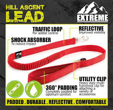 Dog Lead Shock Absorber Red