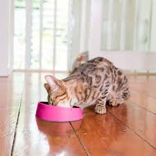 Lickimat OB6001PK Oh Bowl Cat Pink