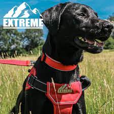 Dog Harness Extreme Red Size M