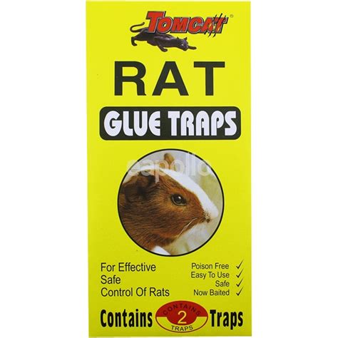 glue traps rat tomcat